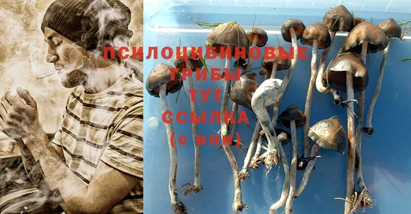 прущая мука Балахна