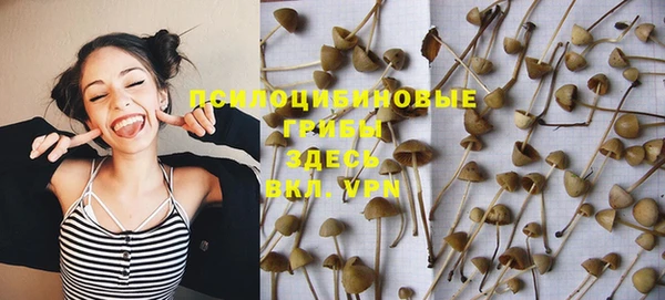 метамфетамин Аркадак