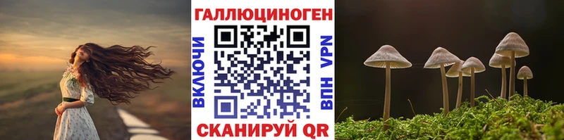 Псилоцибиновые грибы MAGIC MUSHROOMS  купить  сайты  Лысково 